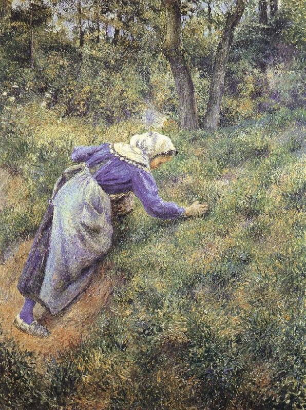 Camille Pissarro Collect grass oil painting image